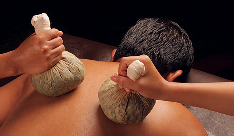 Herbal leaf boluses on the back